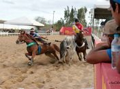 Arapiraca recebe 4ª etapa do Circuito ALQM de Vaquejada
