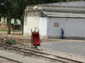 Flagra: Carroceiro joga lixo em via pública minutos após a Prefeitura recolher seis caçambas de entulhos do local