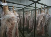 Operação apreende 1,4 tonelada de carne vencida em estabelecimento de Arapiraca 