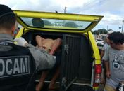 Dupla é presa após trocar tiros com policiais da Força Tarefa em Arapiraca