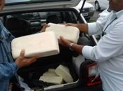 Vigilância sanitária fiscaliza pizzarias e apreende 60 kg de queijo em Arapiraca