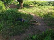 Pedreiro é encontrado morto em terreno baldio no Bairro Primavera
