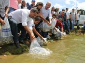 Lago da Perucaba recebe mais de 90 mil peixes