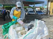 Secretaria recolhe mais de 15 mil embalagens de agrotóxicos em São Sebastião