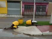 Vândalos destroem vasos de flores na principal avenida de Campo Alegre