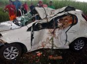Acidente deixa uma vítima fatal na AL 220 em Campo Alegre