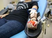 Baixo estoque de sangue preocupa direção do Hemocentro de Arapiraca