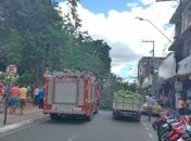 Árvore cai sobre veículo no centro de Arapiraca