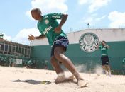 Palmeiras acerta empréstimo de atacante para o Alavés
