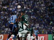Foto: CSA x Guarani