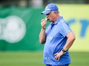 Palmeiras consegue efeito suspensivo para ter Felipão contra o Fluminense