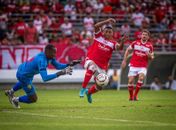CRB vacila diante do Brusque e empata a quarta seguida jogando no Rei Pelé

