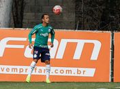 'Esquecidos' esperam ganhar chance com Felipão no Palmeiras