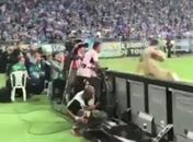 Gandula do Grêmio é flagrado cuspindo em goleiro do Lanús