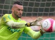 Recuperado, Weverton treina no Palmeiras; Borja e Guerra não vão a campo