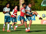 Palmeiras encaminha contratação do lateral Diogo Barbosa