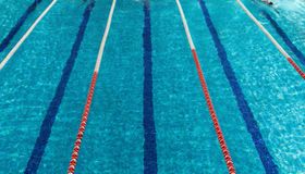 Brasil brilha em Barcelona: Arthur Xavier e Beatriz Flausino conquistam o ouro no World Series