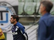 Abel agradece ao Palmeiras após título: 'Agora, essa é minha família'
