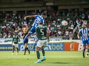 CSA x Guarani
