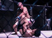Brabos Combat