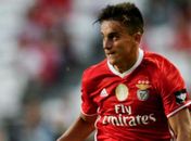 Grimaldo vem tendo boas atuações no Benfica