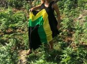 Apresentadora da Globo posta foto em plantação de maconha: 'Sem problemas'