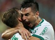 Com lesão muscular, Willian desfalca Palmeiras por até seis semanas