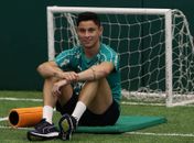 Palmeiras se reapresenta com reforços e retorno de emprestados