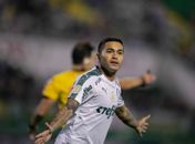 Com Dudu liberado, Palmeiras inicia treinos para enfrentar o CSA