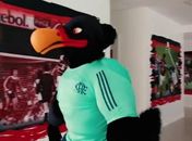 Novo mascote do Flamengo agita web e é comparado com árbitro 'bombado'