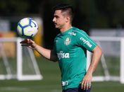 Willian volta a treinar no Palmeiras e pode reforçar o time no sábado