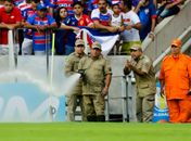 Enxame de abelhas atrasou início da partida entre Fortaleza e Internacional