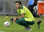Empresário de Abel Ferreira garante permanência do técnico e cita possível renovação com Palmeiras