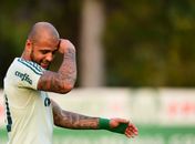 Experiente meio-campista Felipe Melo tem destino incerto no Palmeiras (Foto: Sergio Barzaghi/Gazeta Press)