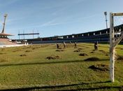 Gramado do Rei Pelé passa por tratamento visando a temporada 2020