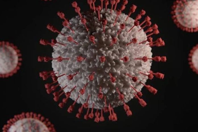 Por medidas de segurança, prefeitura de Palmeira cancela shows da noite de Natal e Réveillon devido à nova onda da Covid-19