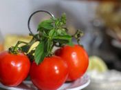 Saiba o que é o crudivorismo, a nova moda das dietas naturais
