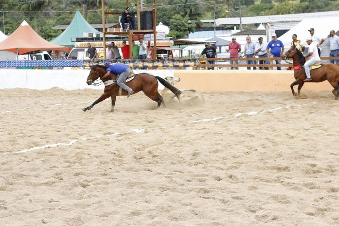 Palmeira: Começa oficialmente a Vaquejada Joventino Ferreira da Silva