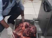Vigilância Sanitária apreende carne imprópria para consumo