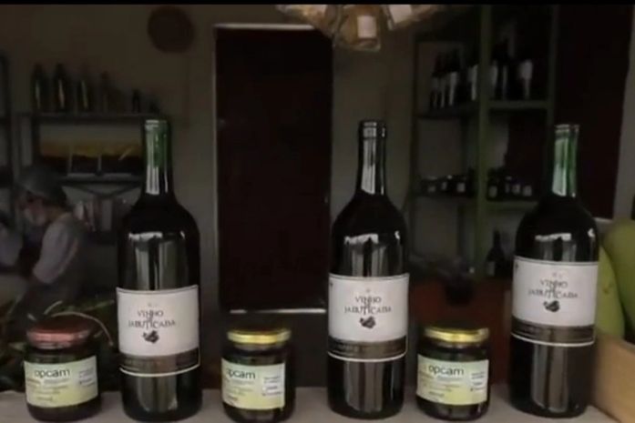 Palmeira dos Índios: Vinho de jabuticaba é destaque nacional