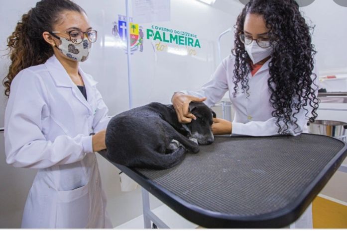 Bairro Vila Maria recebe programa Pet Amigo