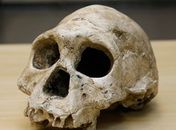 Descoberta de brasileiros pode mudar história da humanidade