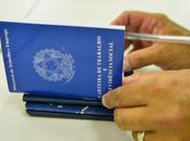 IBGE mostra 83,5 milhões de ocupados na segunda semana de junho