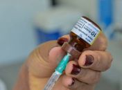 Saiba quem não pode tomar a vacina da febre amarela