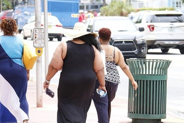 Um em cada oito adultos no mundo é obeso, alerta OMS