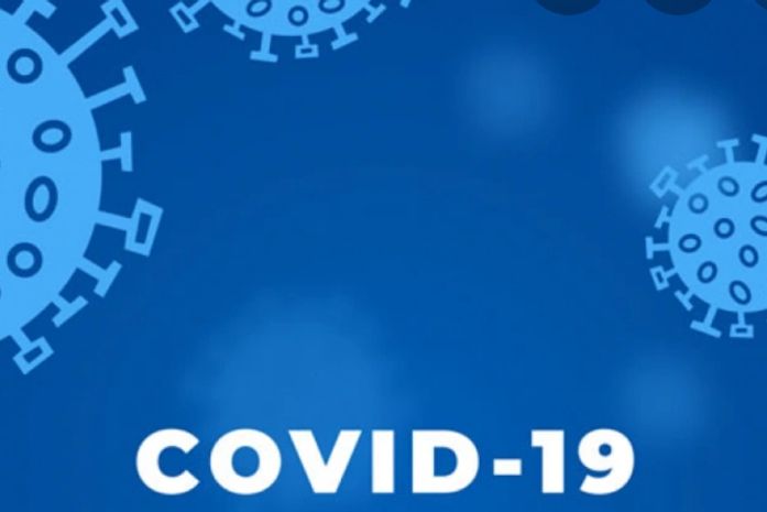 Boletim COVID-19: Palmeira tem 3.510 casos de Covid-19