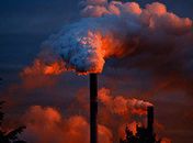 Sediar conferência climática custaria R$ 500 mi, diz Bolsonaro