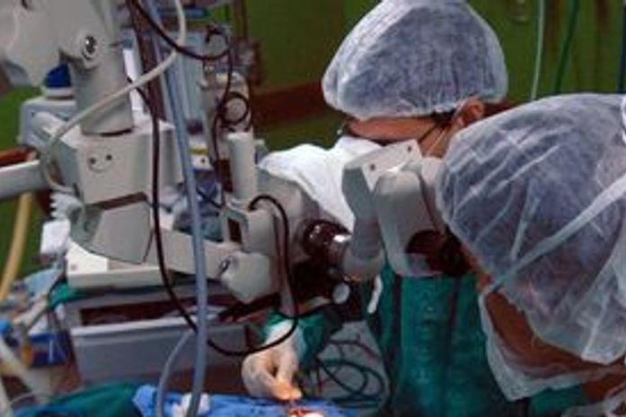 Brasil tem o maior sistema público de transplantes