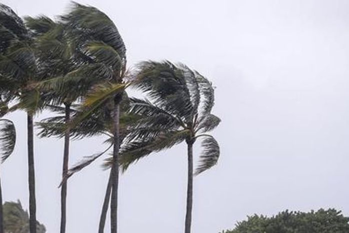Temer coloca embaixadas à disposição de brasileiros atingidos por furacão