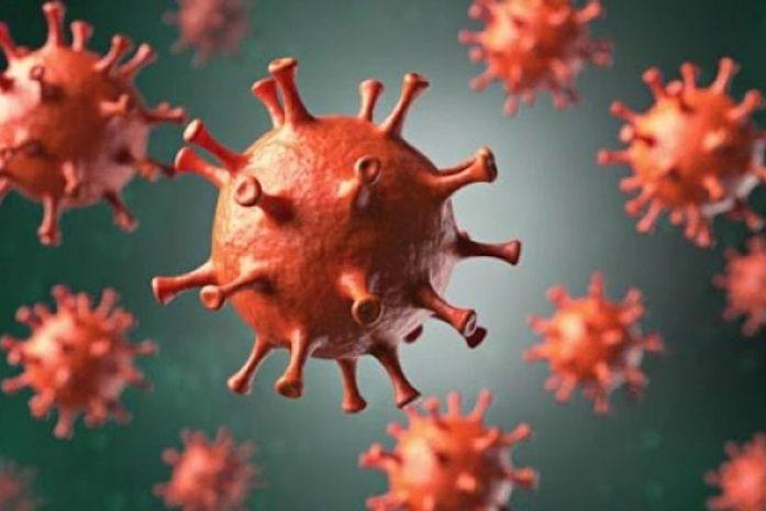 Palmeira tem 549 casos de coronavírus